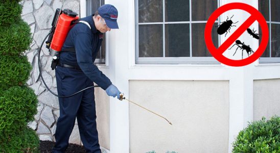 Alucra Karınca İlaçlama böcek ilaçlama ve haşere kontrolü — ilaclama-tr.com